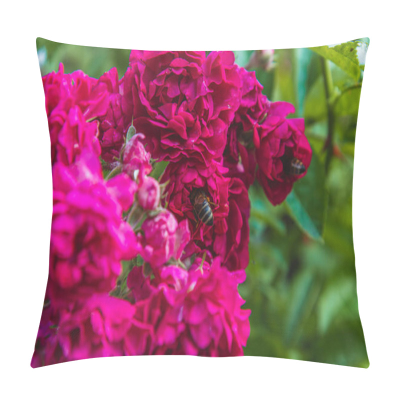 Personality  A Lush Garden Filled With Bright Pink Roses In Full Bloom. Bees Buzz Around The Flowers, Collecting Nectar On A Sunny Summer Day, Creating A Lively Atmosphere. Pillow Covers