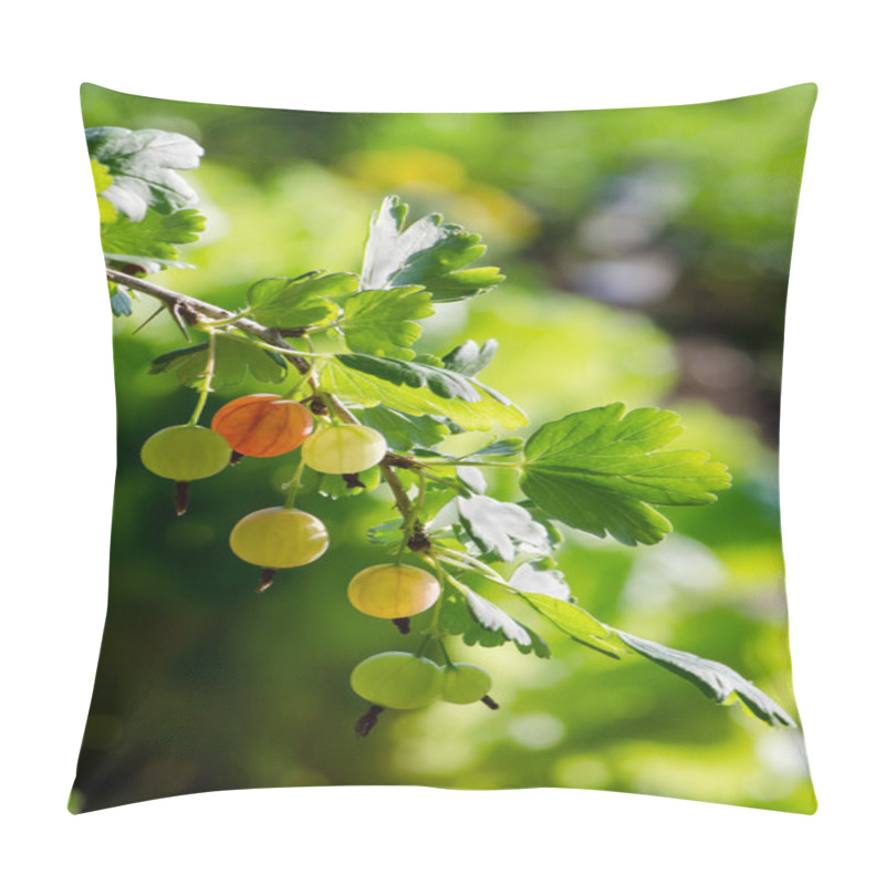 Personality  Gooseberries On A Branch Close-up Pillow Covers