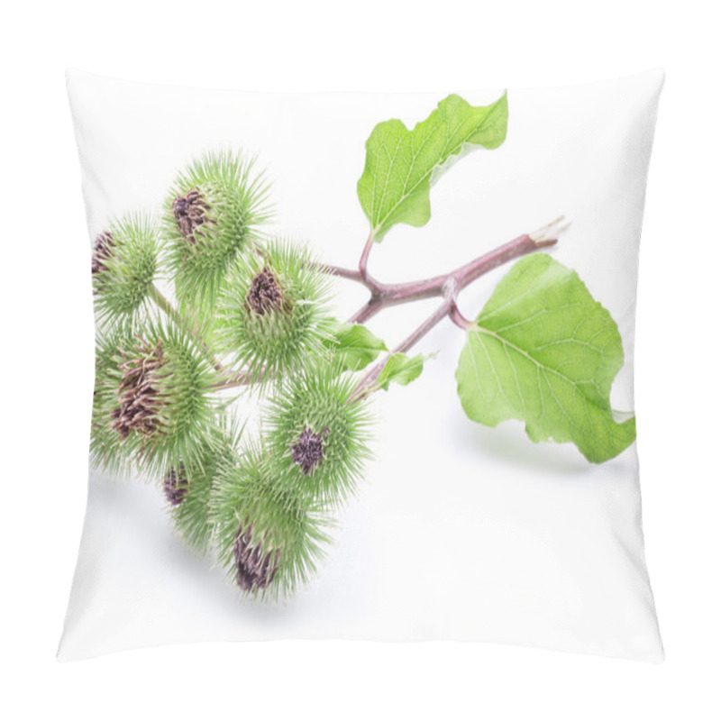 Personality  Prickly Heads Of Burdock Flowers On A White Background. Pillow Covers