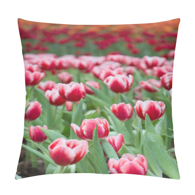 Personality  Tulip Pillow Covers