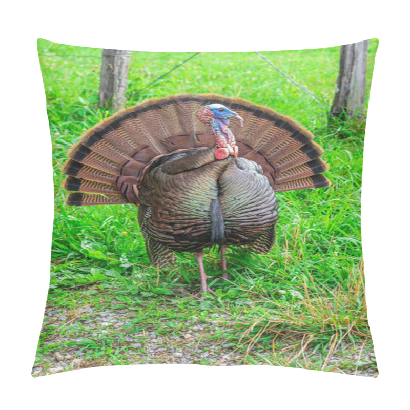 Personality  Vertical Shot Of A Wild Smoky Mountain Turkey.  Green Grass Background. Pillow Covers