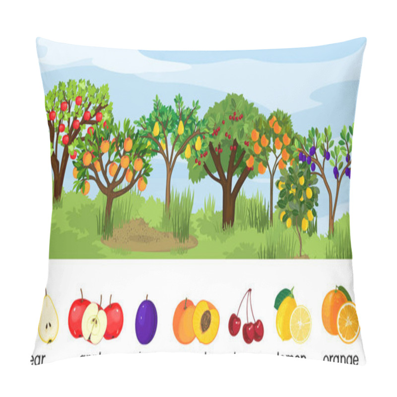 Personality   Landscape With Different Fruit Trees With Ripe Fruits Isolated On White Background. Harvest Time Pillow Covers