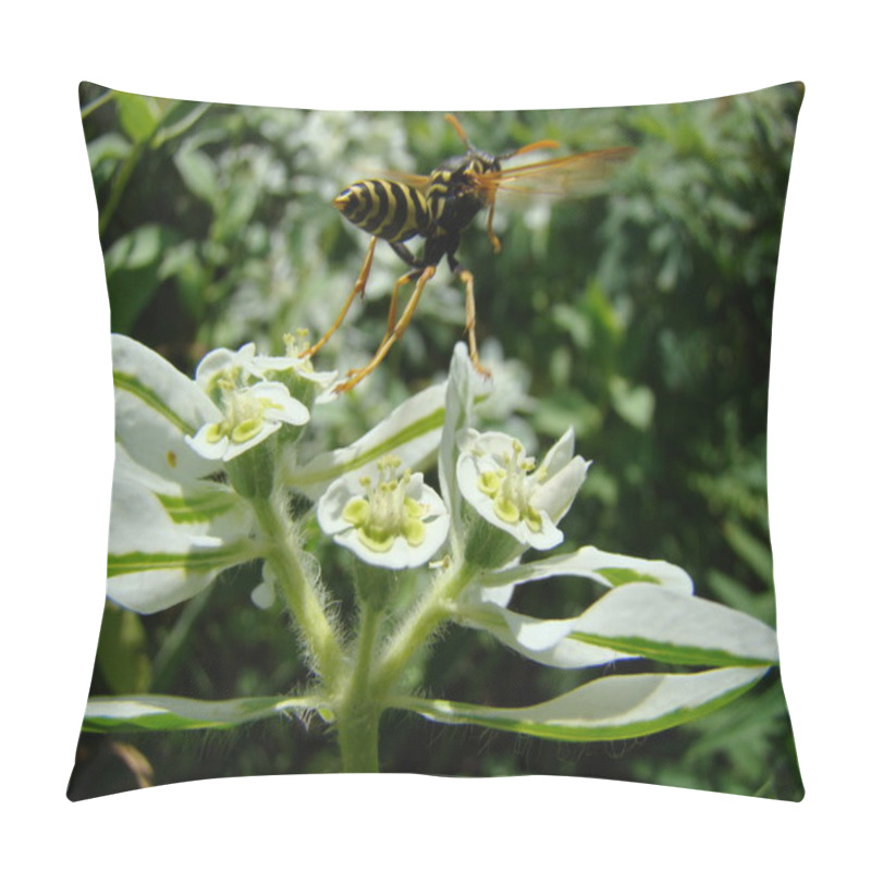 Personality  Wasp Pollinates The Flower Pillow Covers