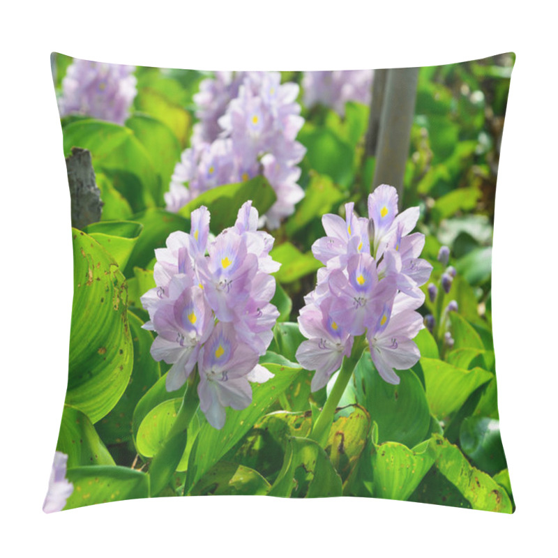 Personality  Hyacinth Plants And Flowers On The Pond  Pillow Covers