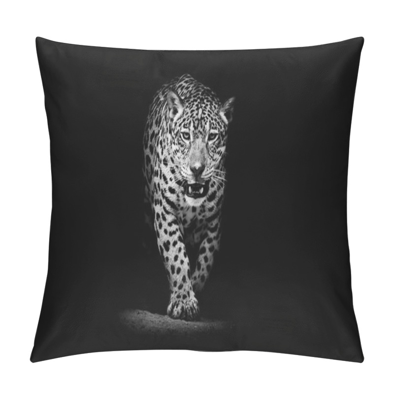 Personality  Leopard Portrait Pillow Covers