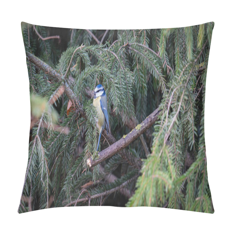 Personality  Birds Perched Among The Lush Green Branches Of A Spruce Tree, Showcasing A Tranquil Moment In Nature's Beauty Pillow Covers