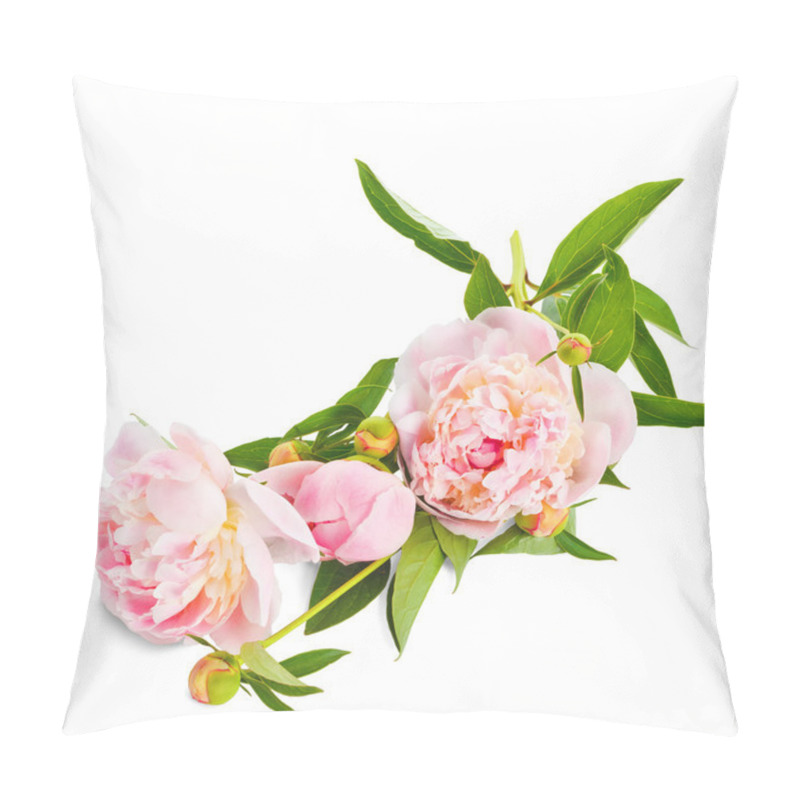 Personality  The Pink Peony On White Background. Pillow Covers