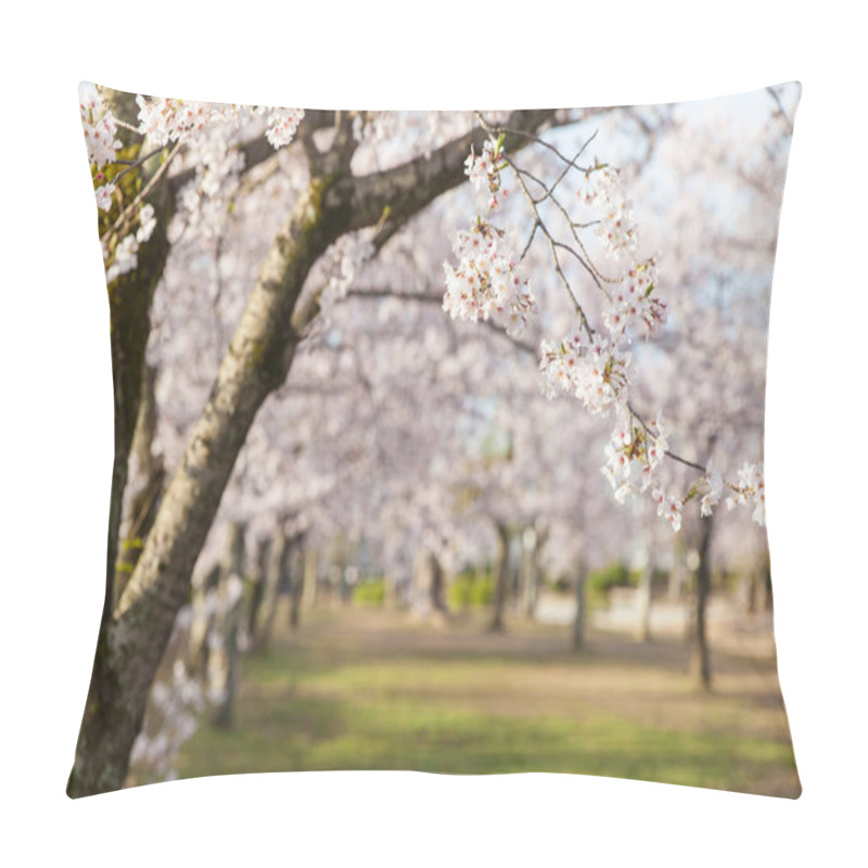 Personality  Sakura Cherry Blossom  Pillow Covers