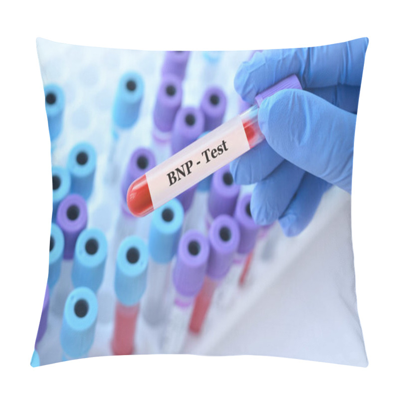 Personality  Doctor Holding A Test Blood Sample Tube With BNP Test On The Background Of Medical Test Tubes With Analyzes Pillow Covers