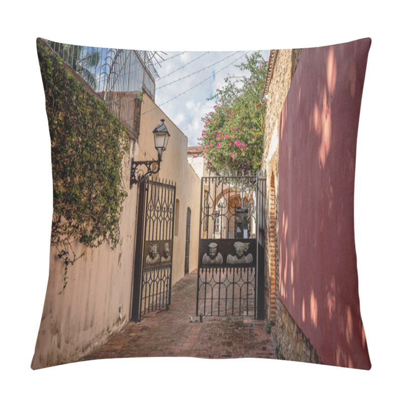 Personality  Narrow Street In The Colonial Zone, Santo Domingo, Dominican Republic. Scenic View Of Sunny Flowering Street With Medieval Architecture, Old Colonial City Pillow Covers