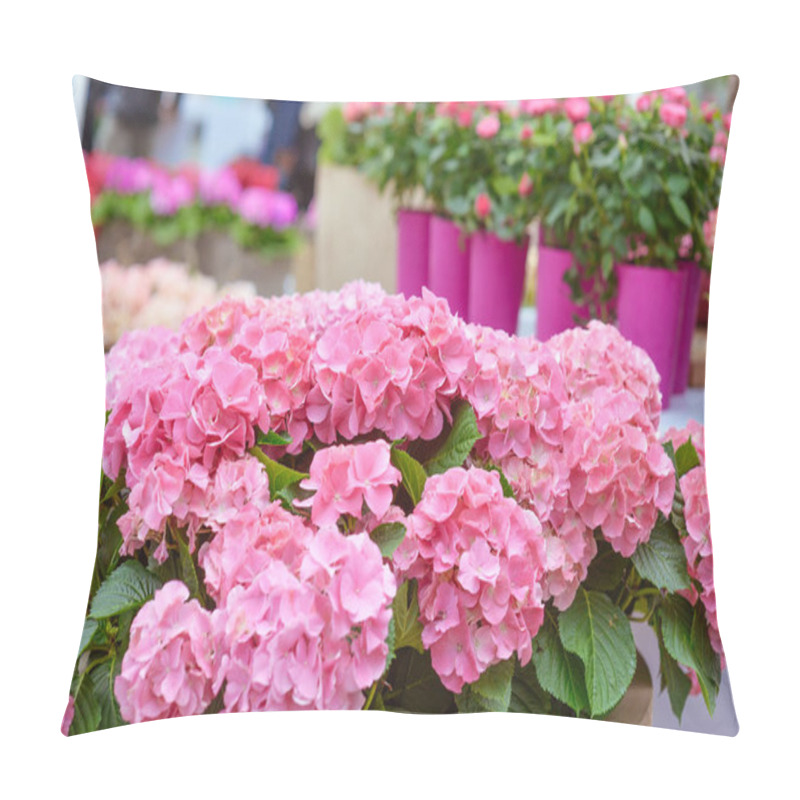 Personality  Beautiful Blooming Hydrangea In The King's Flowers Garden Keukenhof (Garden Of Europe), Holland, The Netherlands Pillow Covers