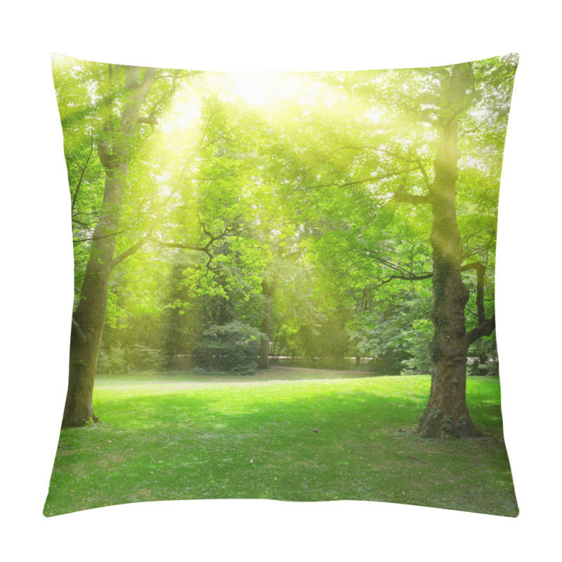 Personality  Sunlight Through Leaves Trees In Summer Park. Pillow Covers