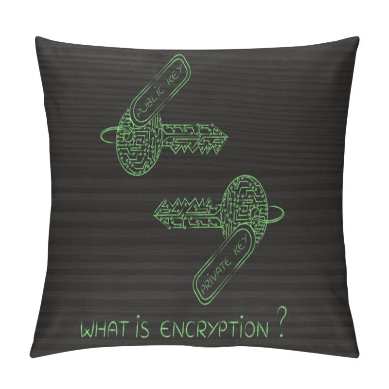 Personality  Matching Private & Public Keys Made Of Circuits, Encryption Conc Pillow Covers