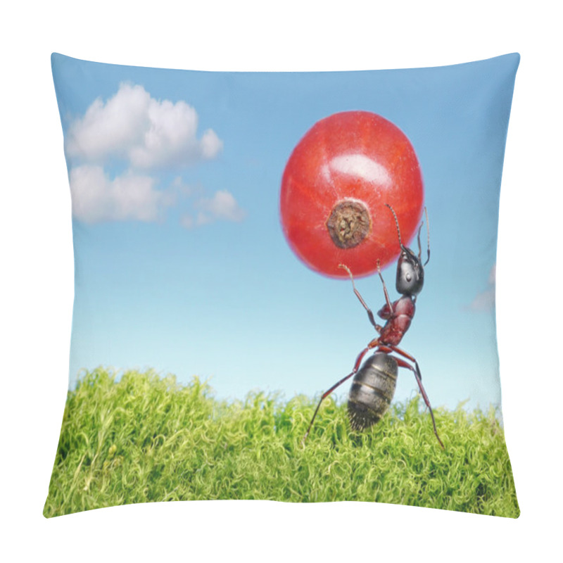 Personality  Ant Carries Red Currant Pillow Covers