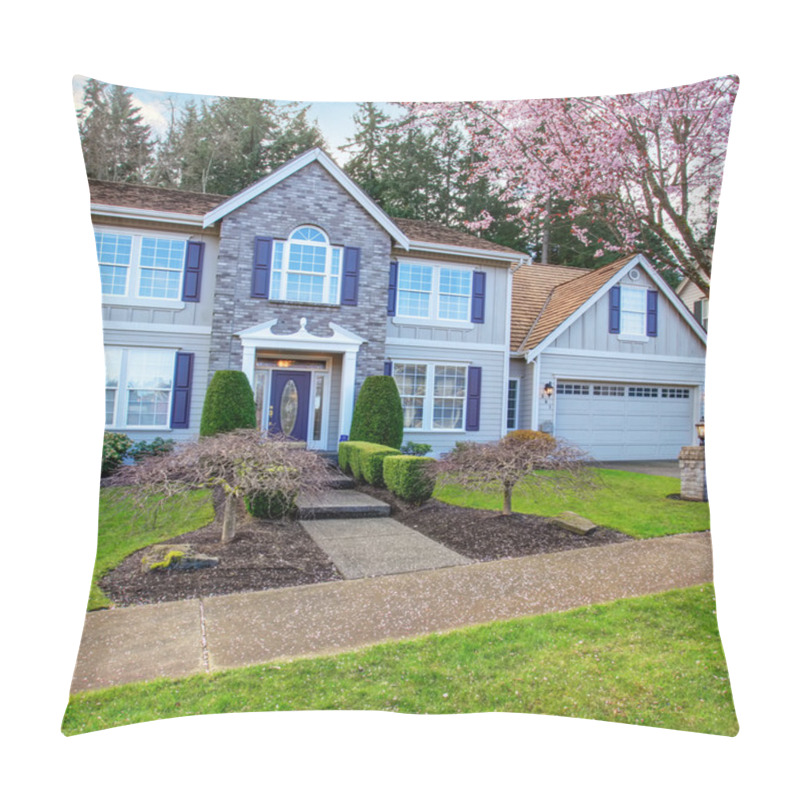 Personality  State Of The Art Home With Blue Theme And Grass. Pillow Covers