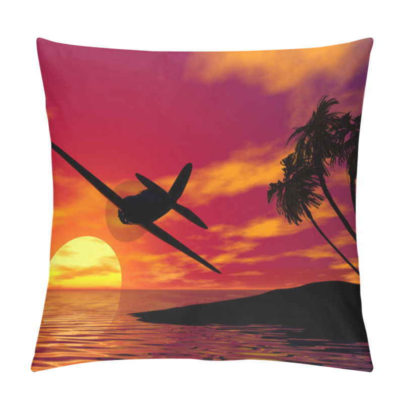 Personality  Plane At Sunset Pillow Covers