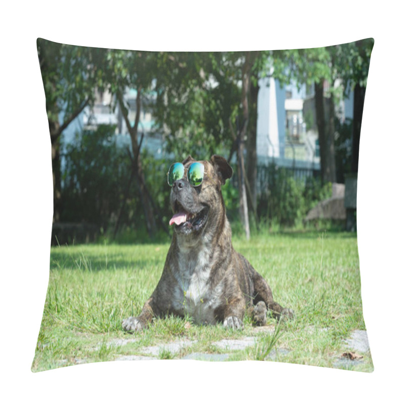 Personality  Happy Dog With Sunglasses, Pit Bull, Amstaff, Stafford In The Park. Pillow Covers