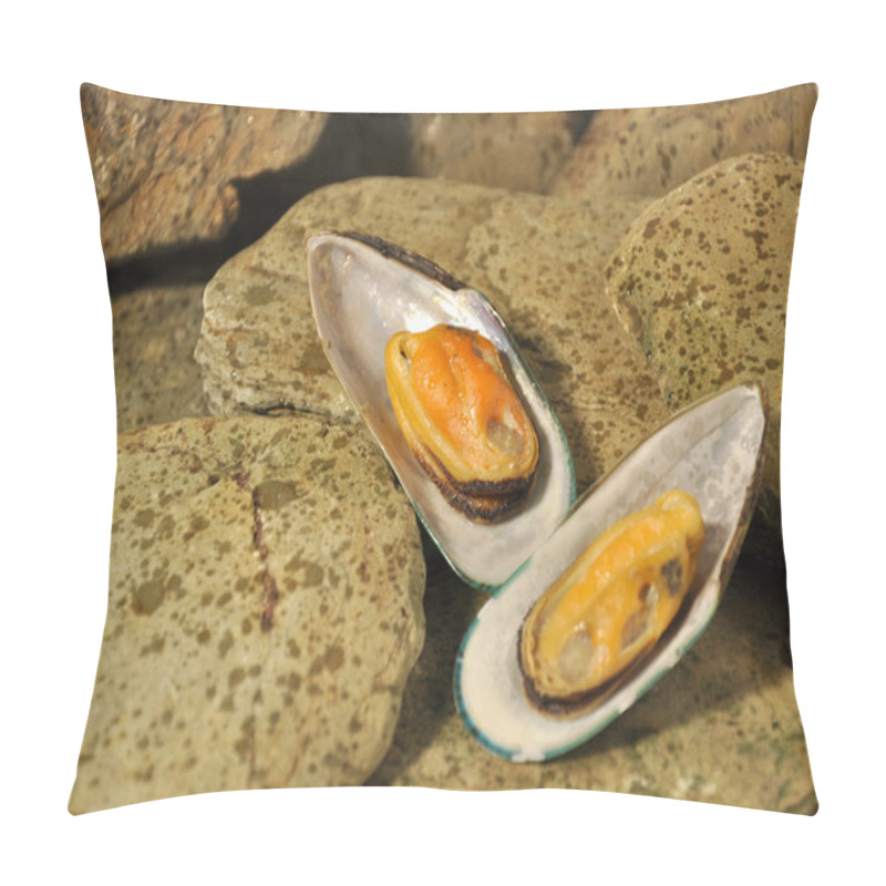 Personality  New Zeland Greenshell Mussels Pillow Covers