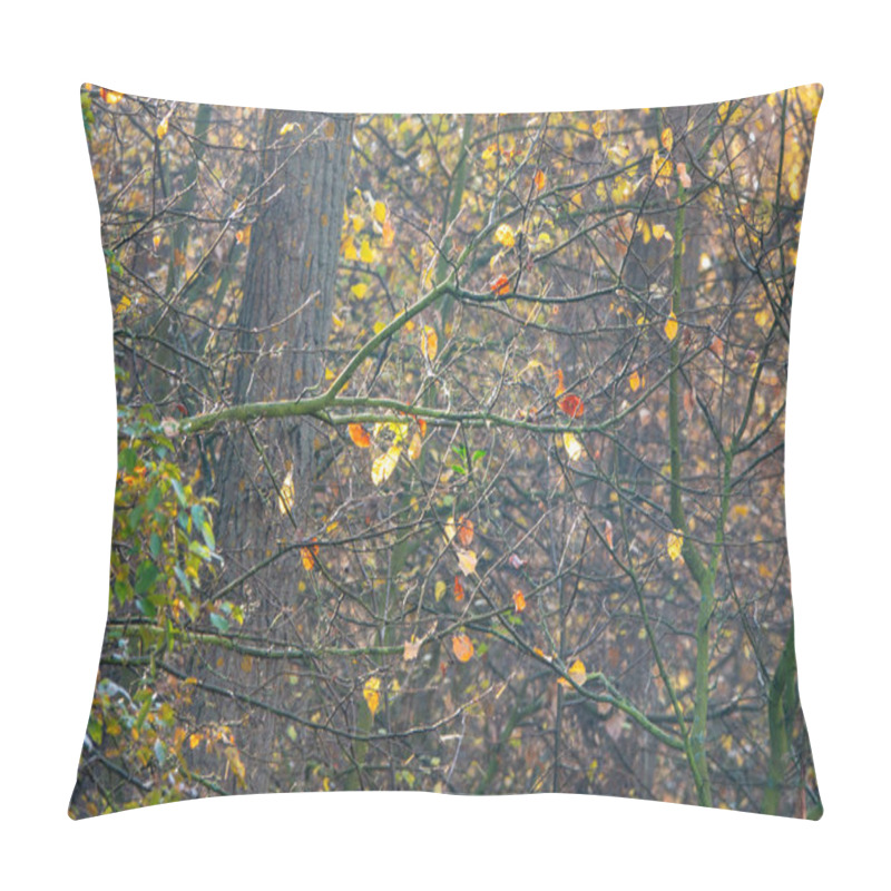 Personality  Tree Branches With Fall Foliage In The Deciduous Forest. Pillow Covers