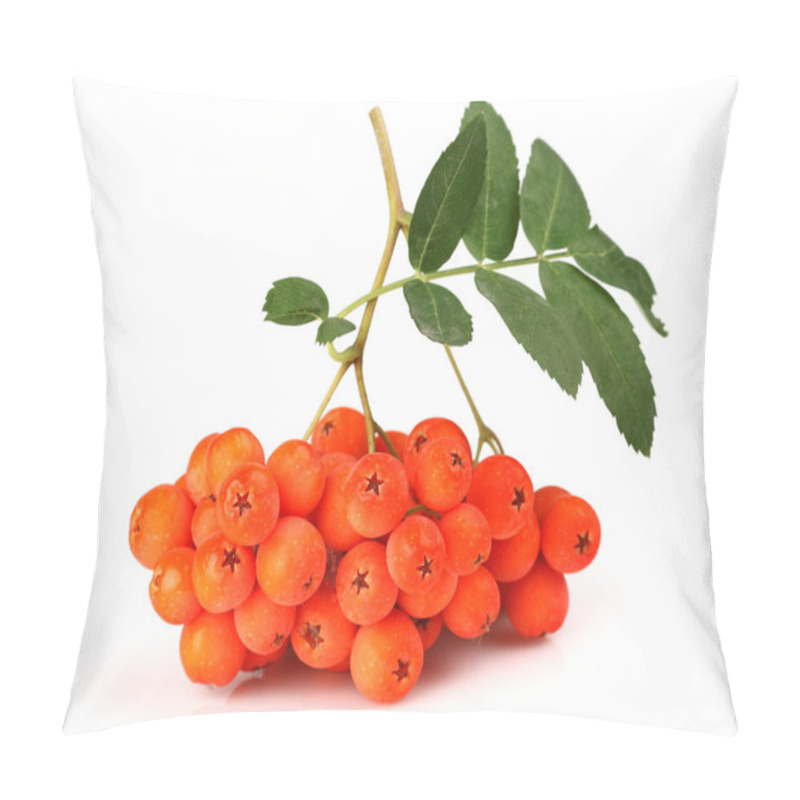 Personality  Ashberry With Leaves Pillow Covers