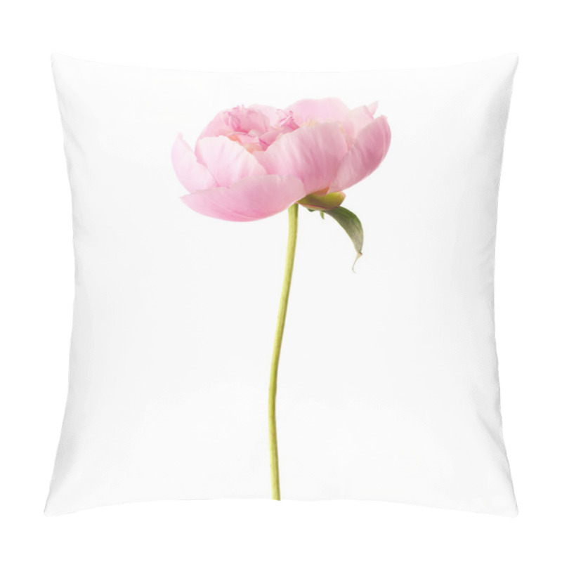 Personality  Light Pink Peony Pillow Covers