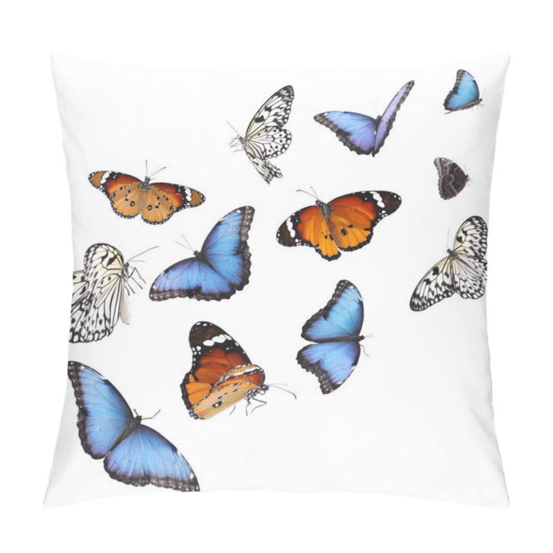 Personality  Amazing Different Butterflies Flying On White Background Pillow Covers