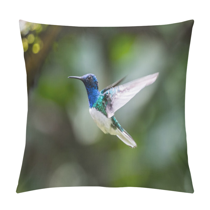 Personality  HUmming Bird Pillow Covers