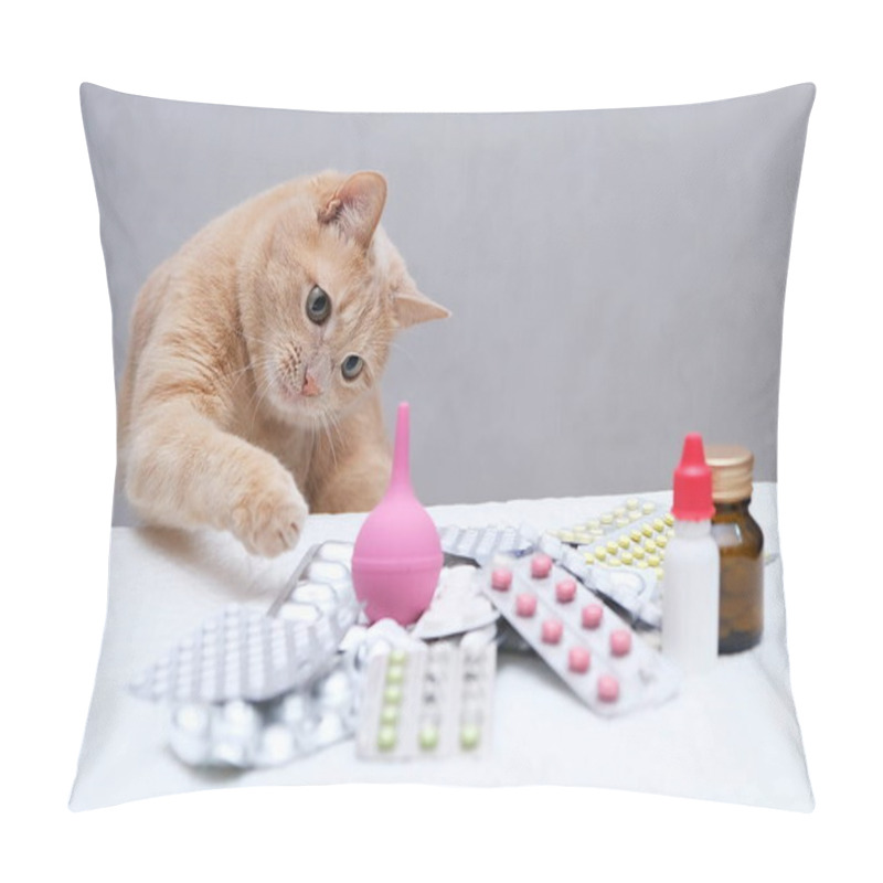 Personality  A Red-haired Cat Sitting In Front Of A Pile Of Medicines And Playing With A Rubber Medical Enema. Pet Treatment Concept. Pillow Covers