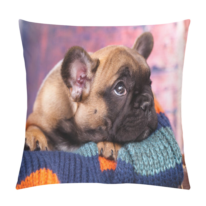 Personality  French Bulldog Puppy  Pillow Covers