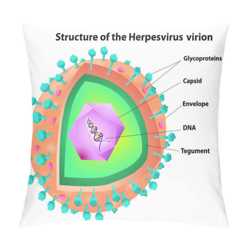 Personality  Herpes Virus Structure Pillow Covers