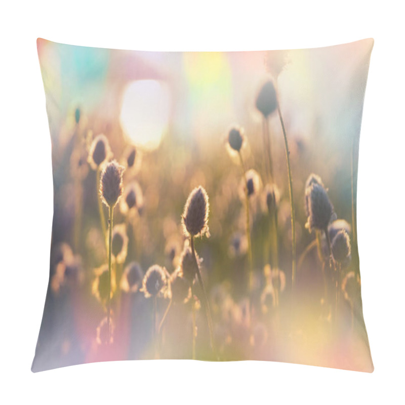 Personality  Sunny Day On The Flowers Meadow. Beautiful Natural Background. Wild Plants In Nature. Pillow Covers