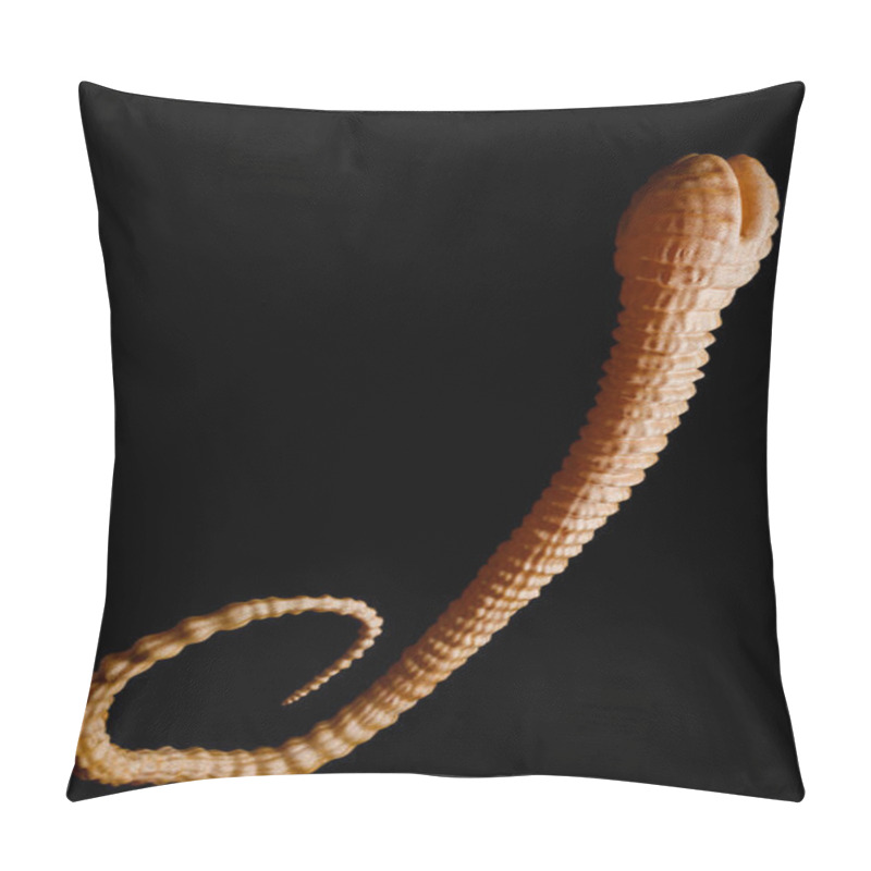 Personality  Fish Tapeworm - Detailed Diphyllobothrium Latum Under The Microscope-- 3d Rendering Pillow Covers