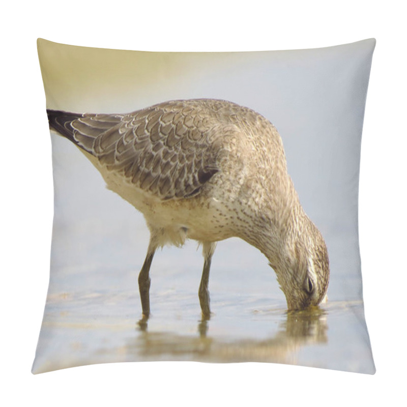 Personality  Red Knot (Calidris Canutus) Pillow Covers