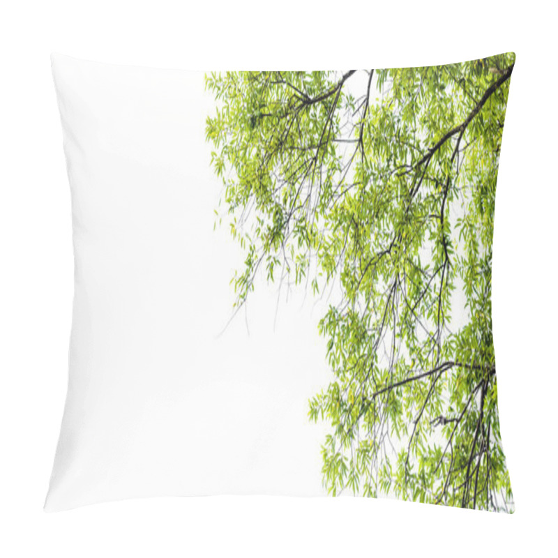 Personality  Green Leaf Isolated On White Background Pillow Covers