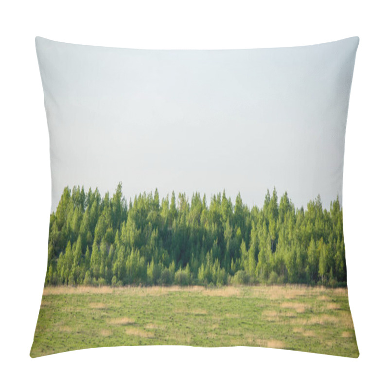 Personality  Photo Of Green Forest And Lawn Against Blue Sky During Day Pillow Covers