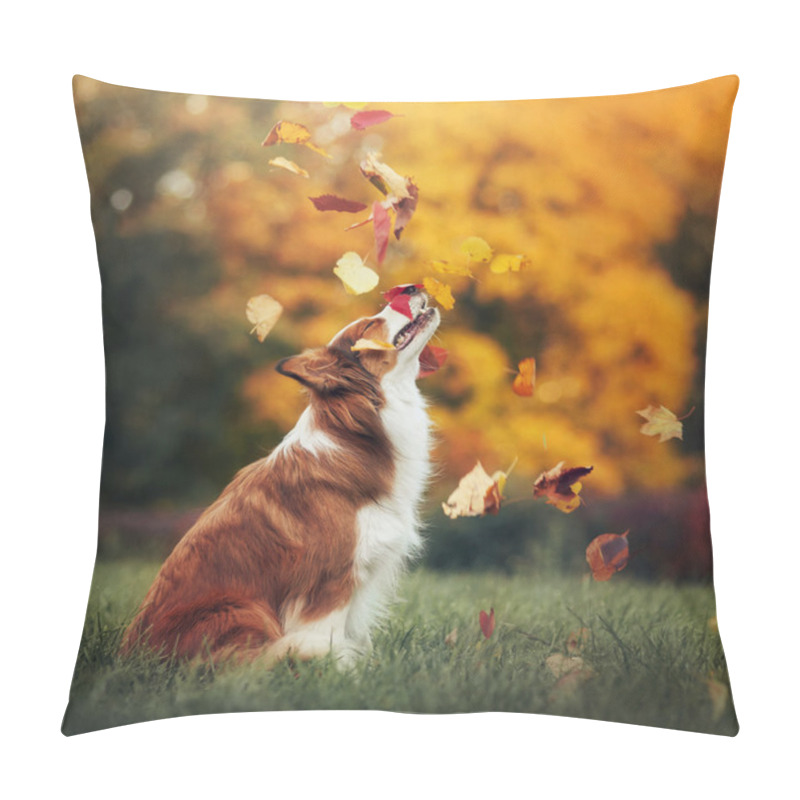 Personality  Young Border Collie Dog Playing With Leaves In Autumn Pillow Covers