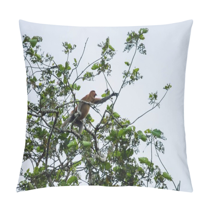 Personality  Proboscis Monkey Or Long Nosed Monkey (Nasalis Larvatus) Crawls  Pillow Covers