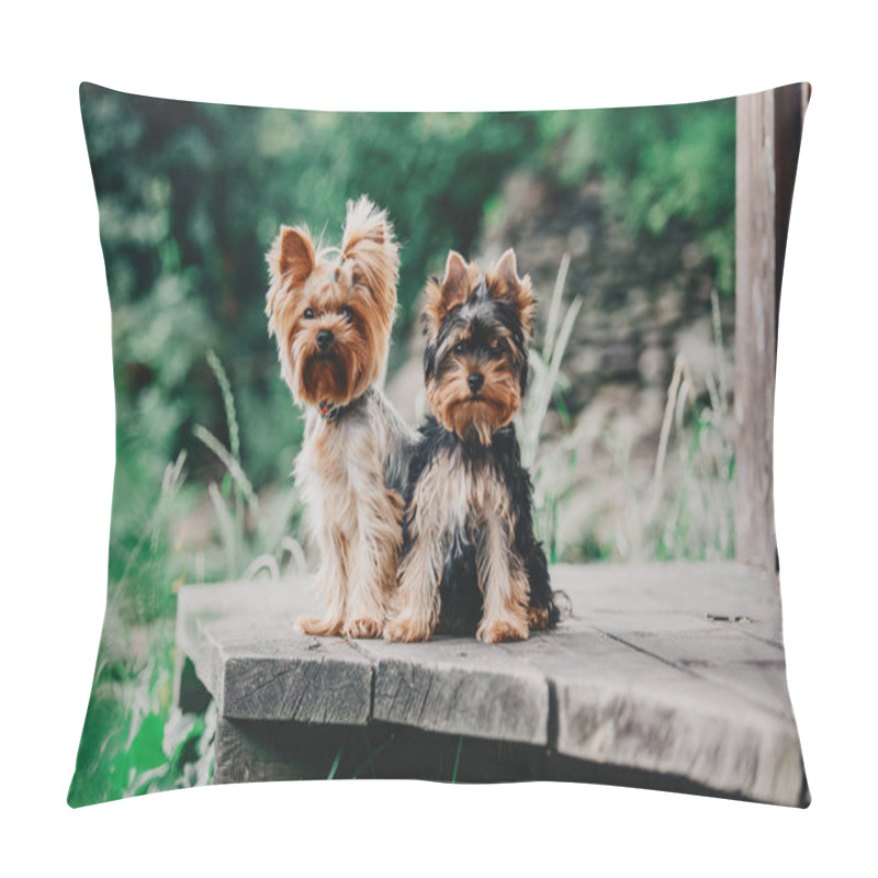 Personality  Yorkshire Terrier Dog In Summer Pillow Covers