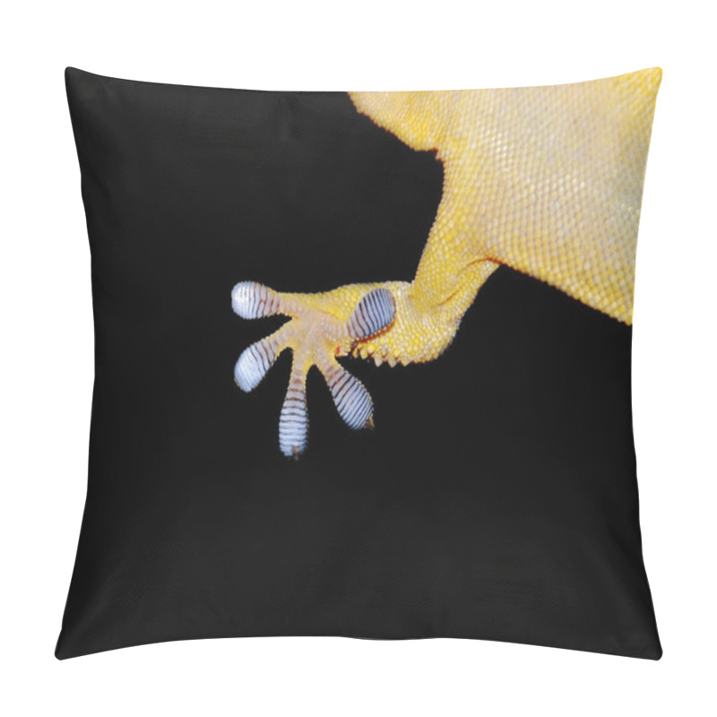 Personality  Gecko Front Leg Closeup Pillow Covers