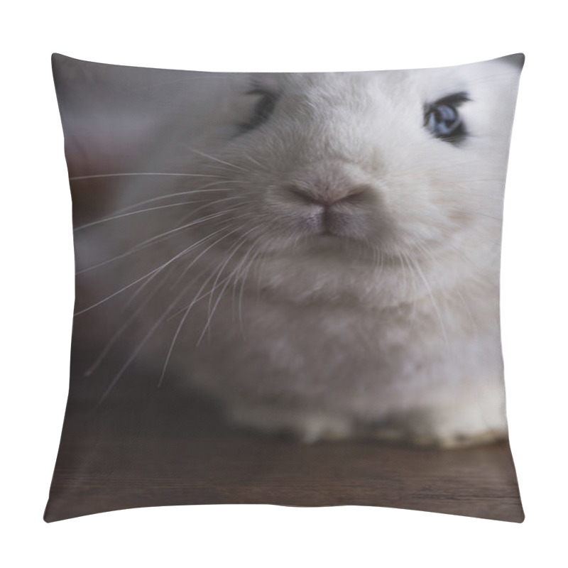 Personality  Cute Rabbit With Black Eye On Dark Background Pillow Covers