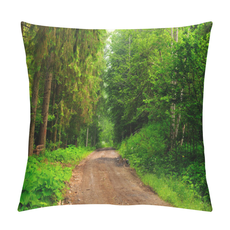 Personality  Path Of Pine And Green Fir Forest In Late Summer. Pillow Covers