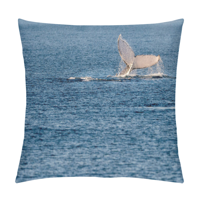 Personality  Humpback Whales Swimming In Australia Pillow Covers