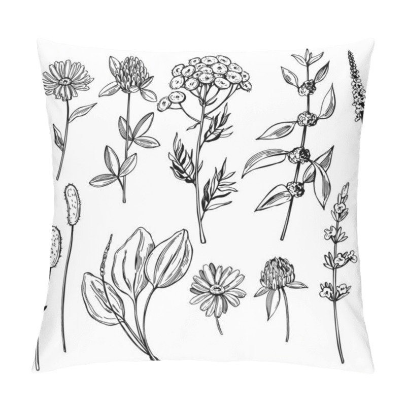 Personality  Hand Drawn Medicinal Herbs.Vector Sketch  Illustration. Pillow Covers