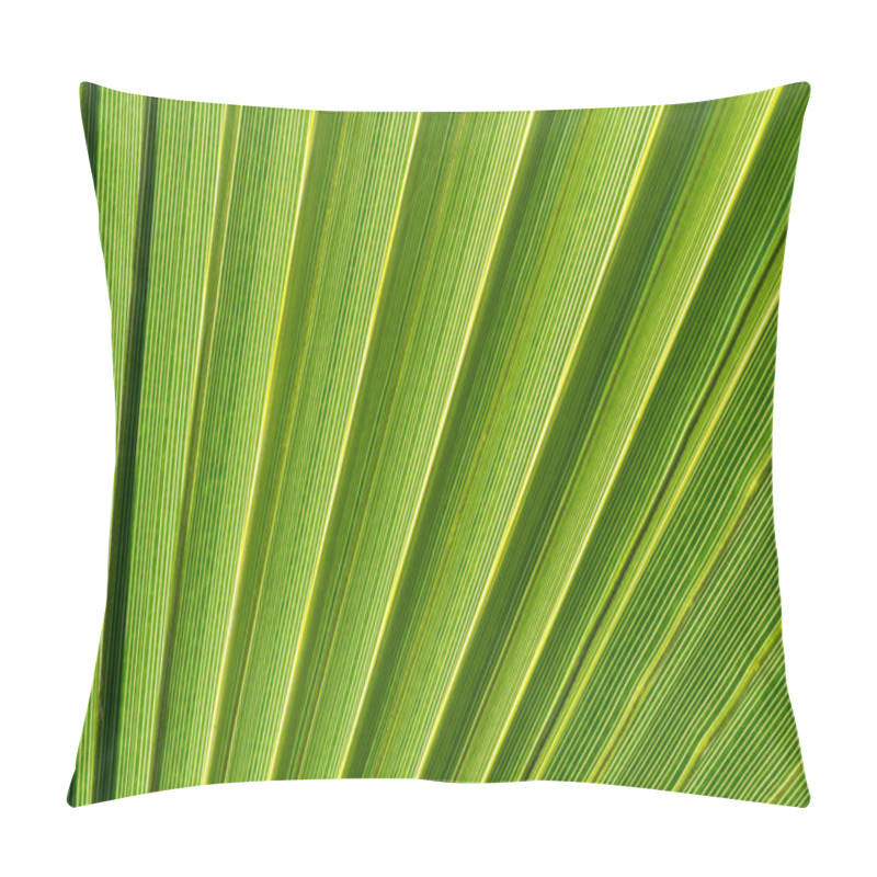 Personality  Lines And Textures Of Green Palm Leaves Pillow Covers