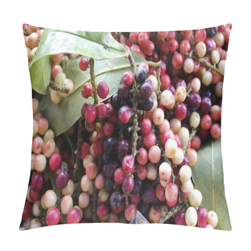 Personality  Antidesma Thwaitesianum Mull.Arg., Ma-mao (thai Name) Isan Regio Pillow Covers