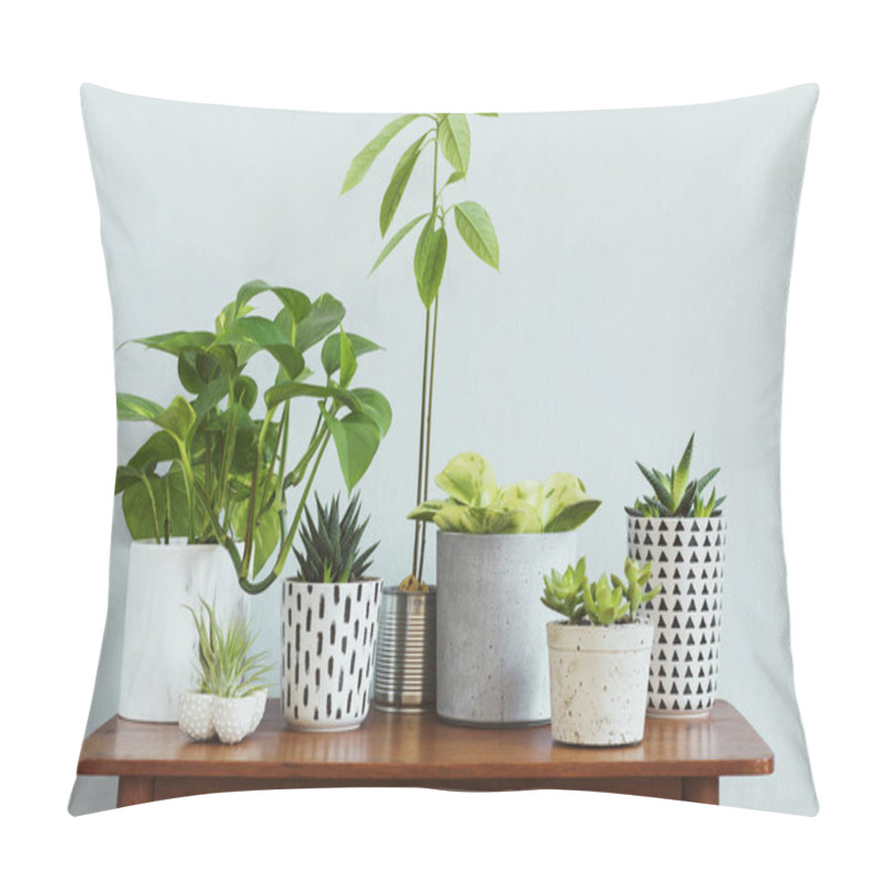 Personality  Stylish And Botany Composition Of Home Interior Garden Filled A Lot Of Plants In Different Design, Elegant Pots And Avocado Plant On The Retro Table. Gray Backgrounds Walls. Spring Blossom. Template. Pillow Covers