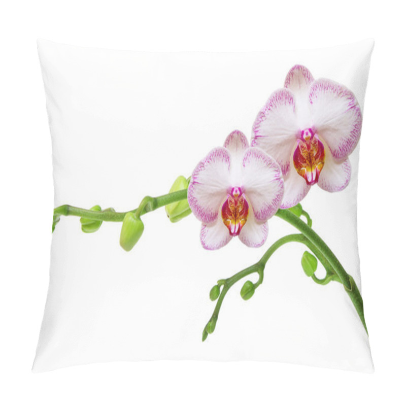 Personality  Orchid Flower Pillow Covers