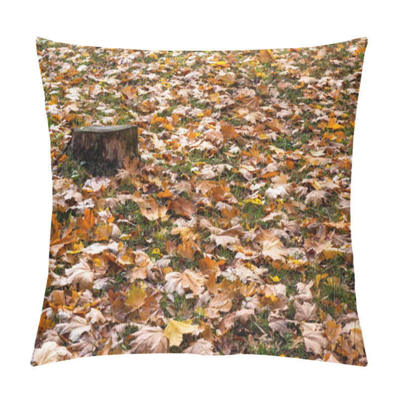 Personality  A Tree Stump Surrounded By Fallen Autumn Leaves. Pillow Covers