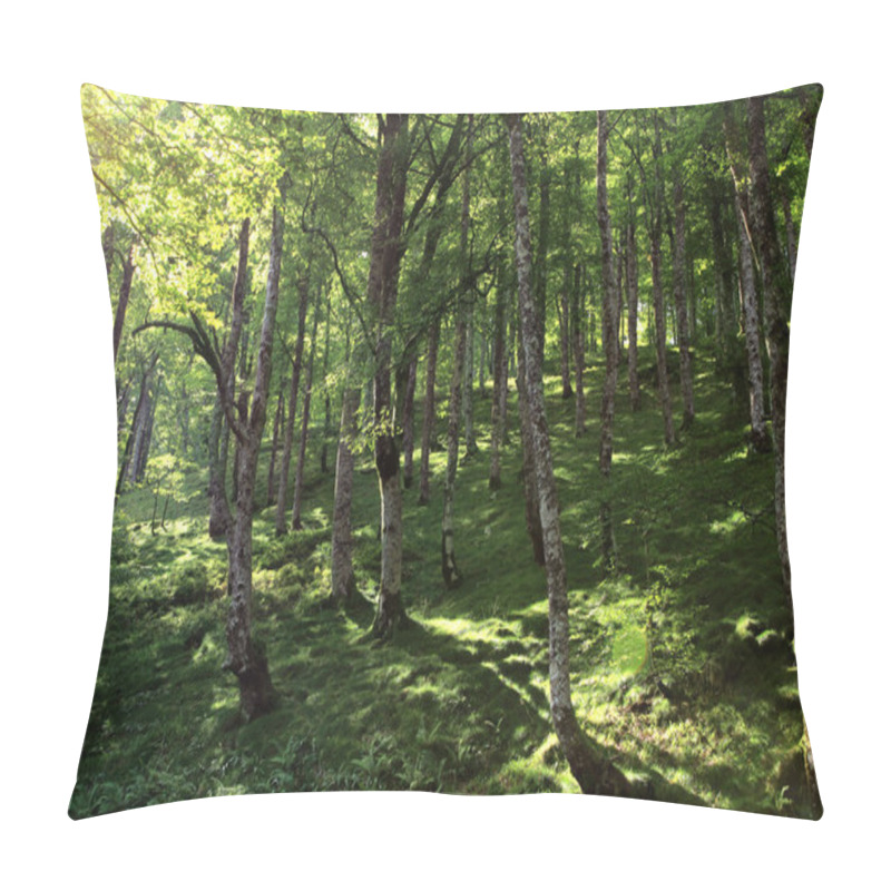 Personality  Forest In Spain, Europe Pillow Covers