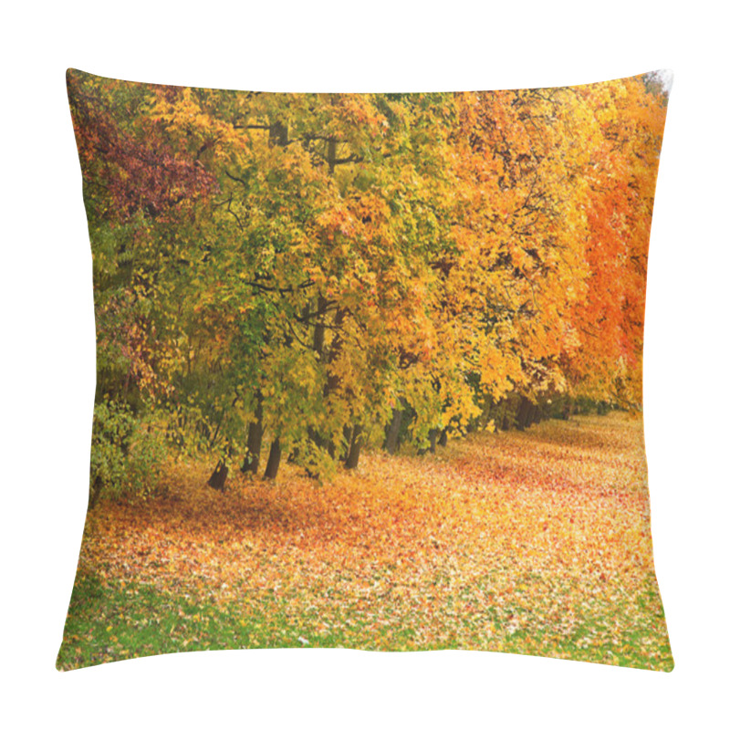 Personality  Autumn Forest Pillow Covers